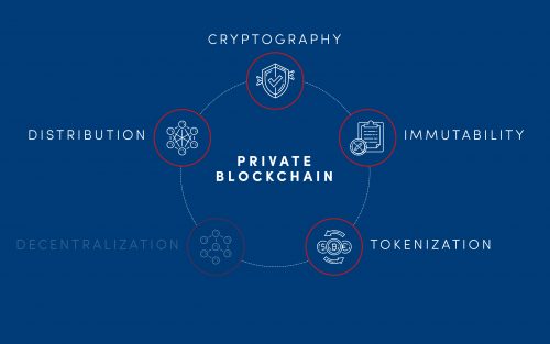 elements of private blockchain
